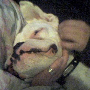 Yeah, that's the spot!!!!