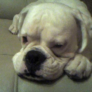 So sleepy.....