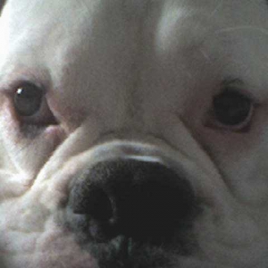Close Up
