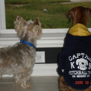Ginny & Eddie