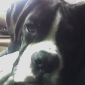 Are we home yet???????