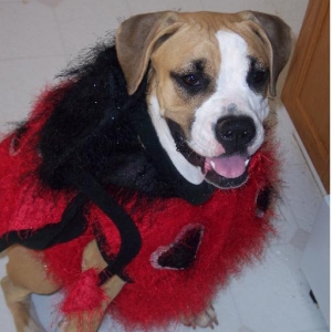 Lucy Lady Bug