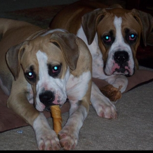 Lucy and Ricky