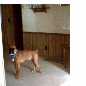 Duke 9.5months