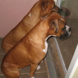 waiting for the mailman
