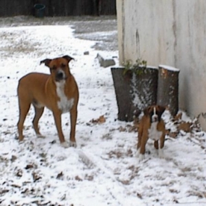 My first snow  I love playing in the snow