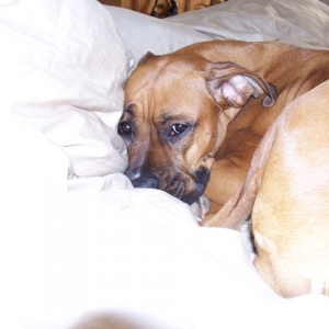 Mom, why are you taking pictures of me?