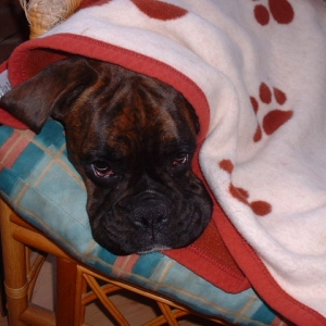 All snug