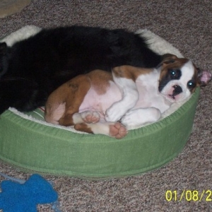 Best_buds