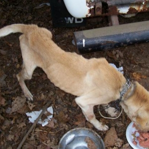 This is that poor baby