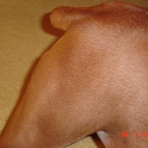 The Nub . . .