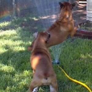 We love to play in the water