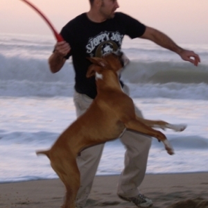 Gimme the ball! Gimme the ball!