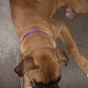 Roxanne