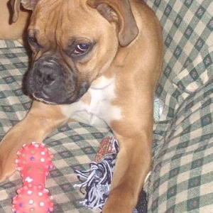 Roxanne
