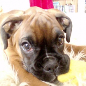 Ruby 14 Weeks.