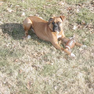 favorite toy