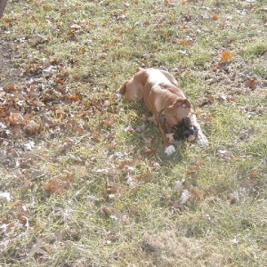 sunning