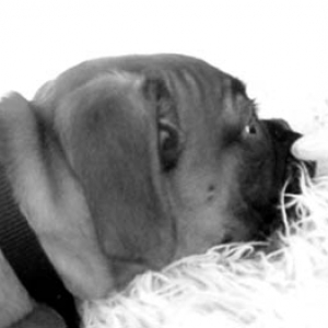 Ruby 14 Weeks.