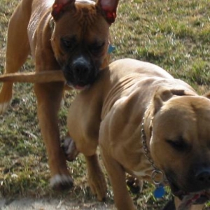 Zero and Herman
