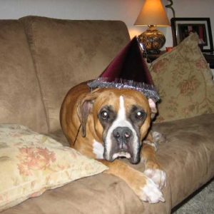 Happy New Year From Mac!