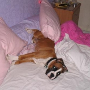 This is my bed
