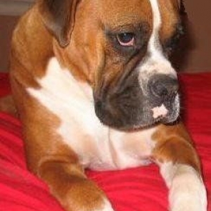 I just love sitting looking pretty