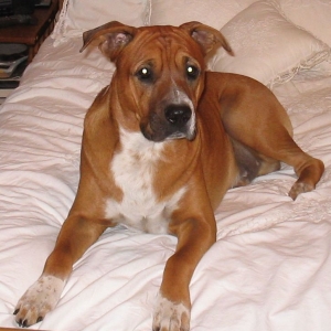 Dallas relaxing