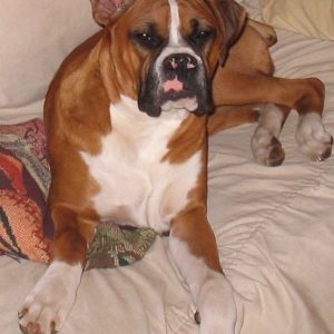 I just woke up, do you have to take my picture now