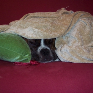 All Snuggled Up!