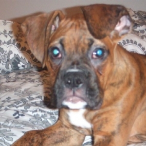 I'm just too cute for words! (13 weeks)