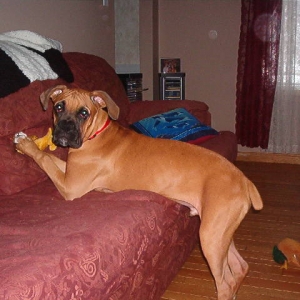 he is growin fast already 38 pounds