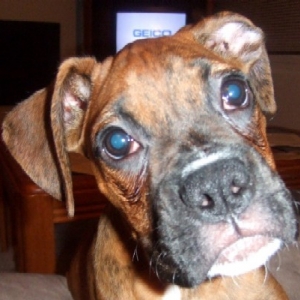 Up Close & Personal (13 weeks old)