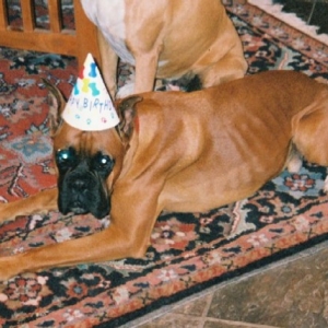 Georgebday