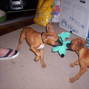 Sampson and his brother Buster
