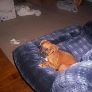 Fallin asleep in daddy's chair