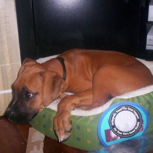 too big for bed