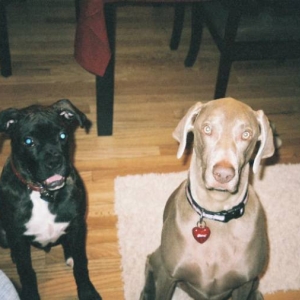 Rocco and Maddy