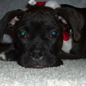Christmas 2005