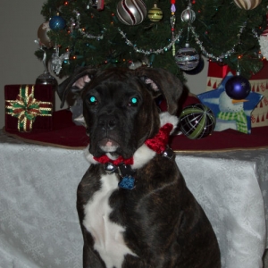 Christmas 2005