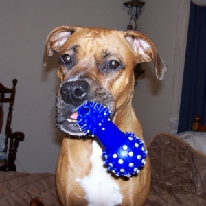 See my new toy mom!!