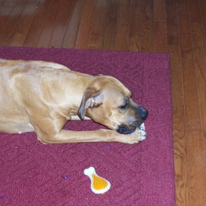 hhhhmmm - CAUGHT!!!