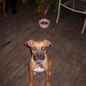 sampson3