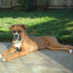 Keeya 6 months old.