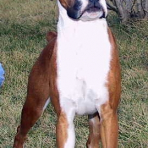 Poppins at 8.5 months