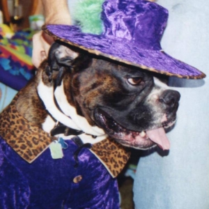 Pimp Dogg Gage