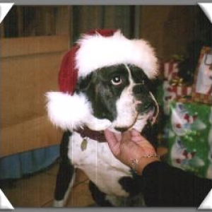 Christmas hat