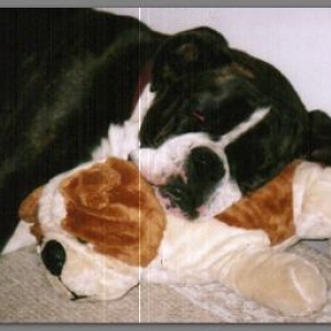 Kylies pillow