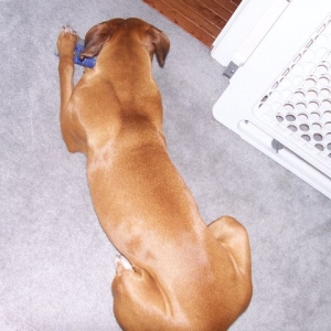 Here's her w/ her hip bones up in air...