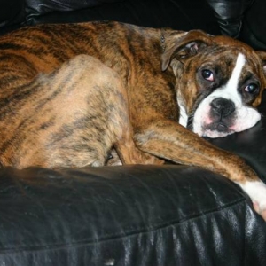 Cozy on the Couch